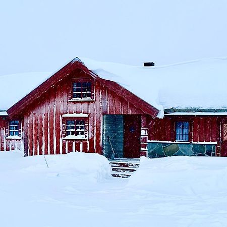 Large Cabin Sjusjoen Best View, Sauna, Ski Inout Exterior photo